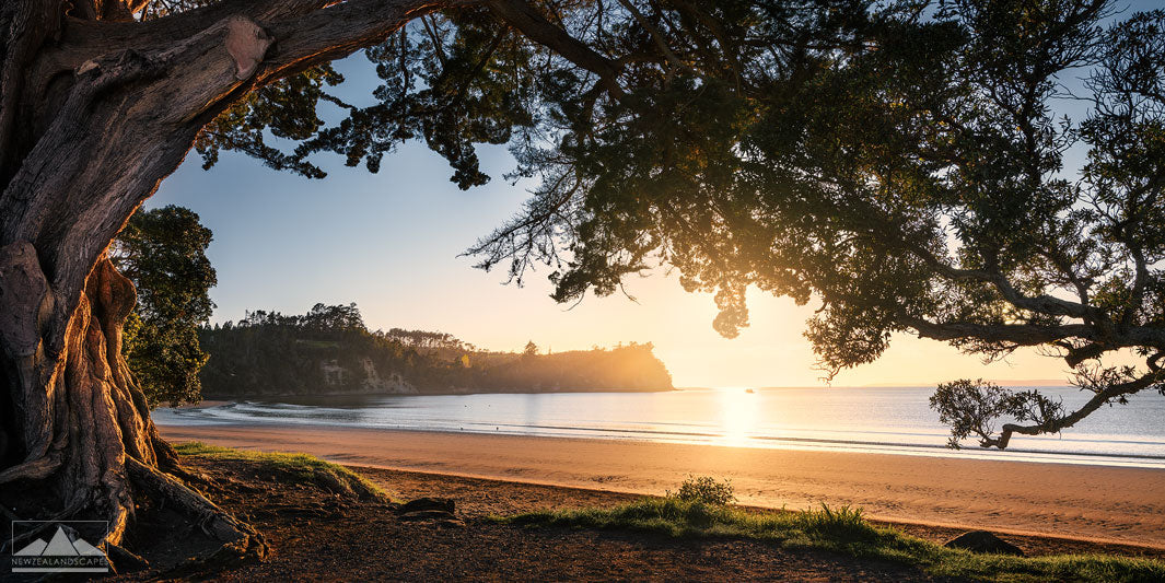 Hatfields Beach - Sunrise