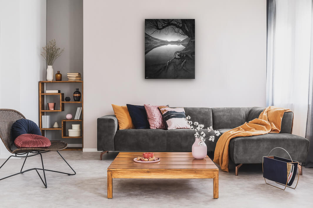 Artistic black and white photo of tree and lake in New Zealand on lounge wall