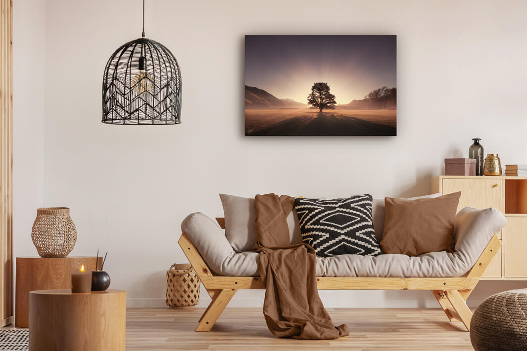 Hororata - Tree of Hope