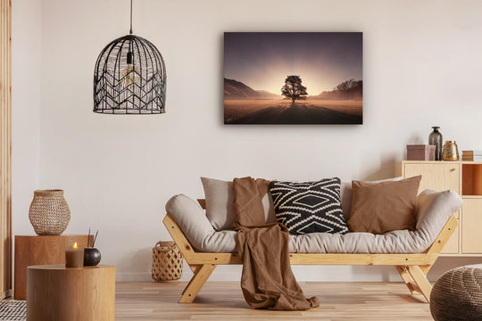 Hororata - Tree of Hope