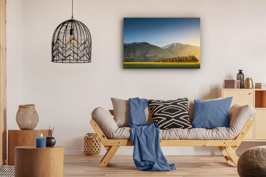 Methven - Sunlit Tree Strip