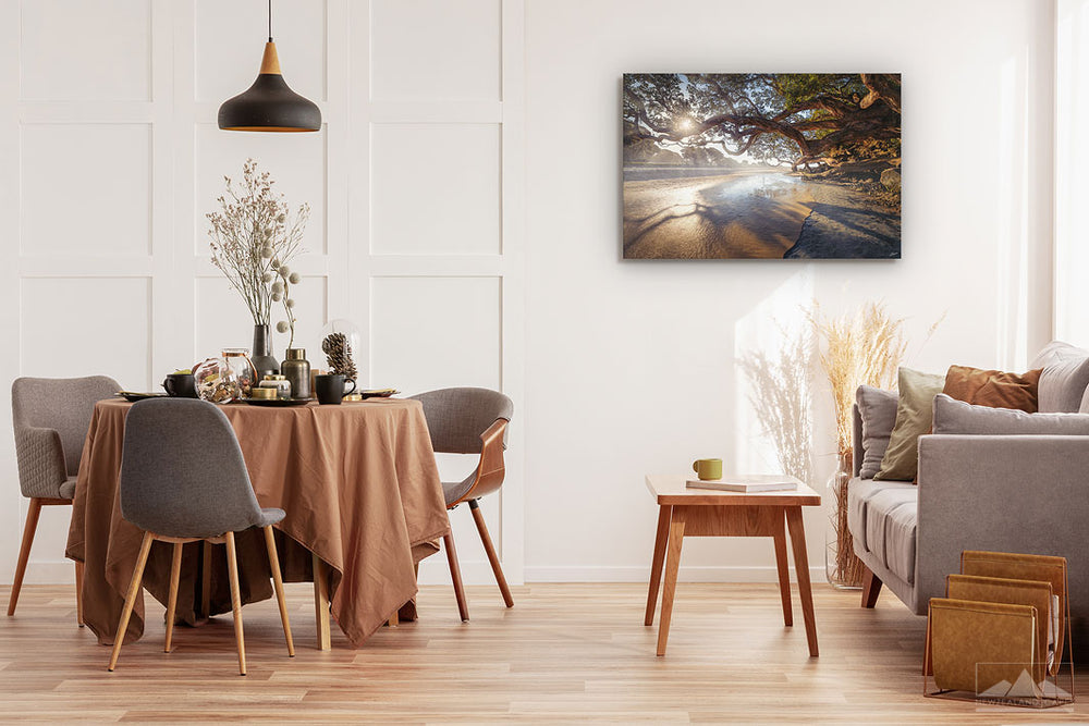 New Zealand landscape wall art photo print of Waipu Cove beach displayed on a dining room wall