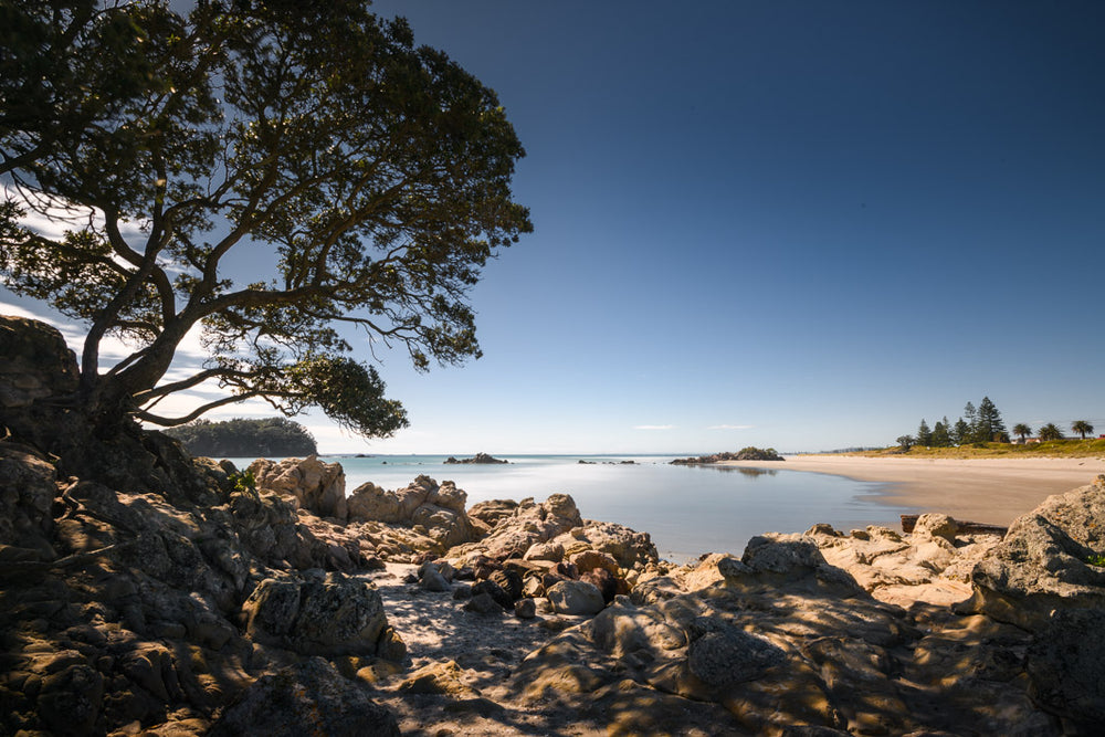 Landscape photo of Moturiki Island at Mount Maunganui. The photo has rocks and a tree in the foreground. In the background is blue sky, sand, beach and trees.
