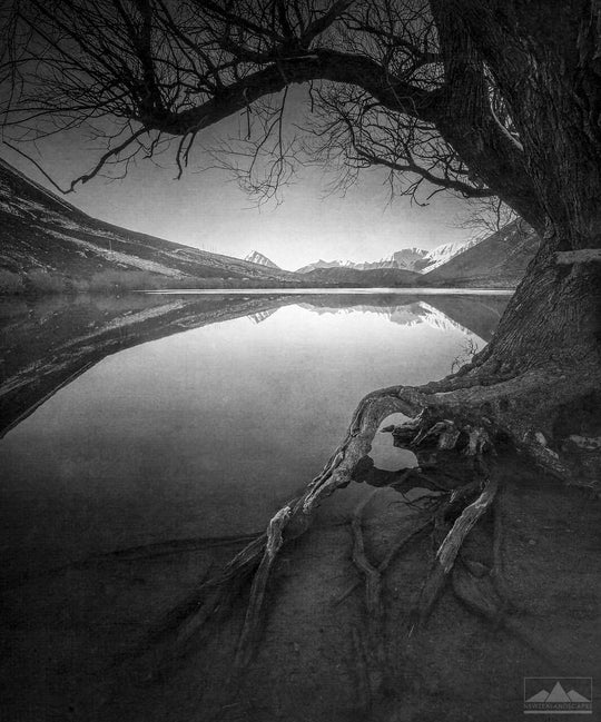 Artistic black and white photograph of Lake Pearson - New Zealand Landscape