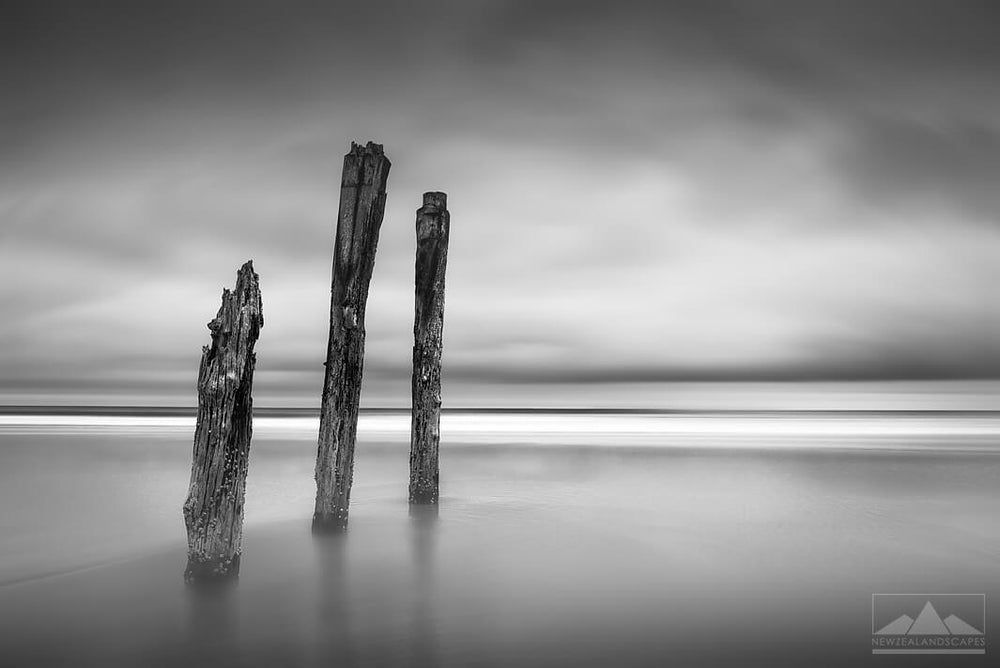 St Clair Fine Art in Black & White