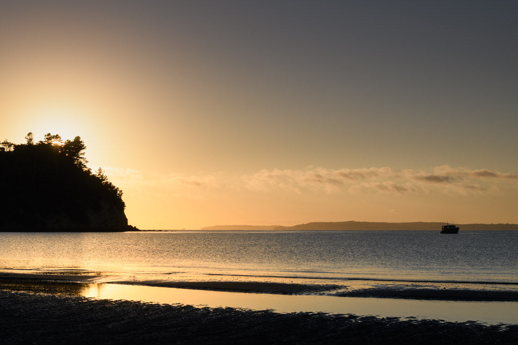 Golden morning sunrise behind trees overlooking the sea and beach. A small boat is out at sea.
