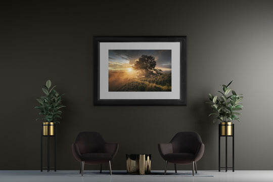 New Zealand landscape framed photo print on a dark wall with two blue chairs and two pot plants