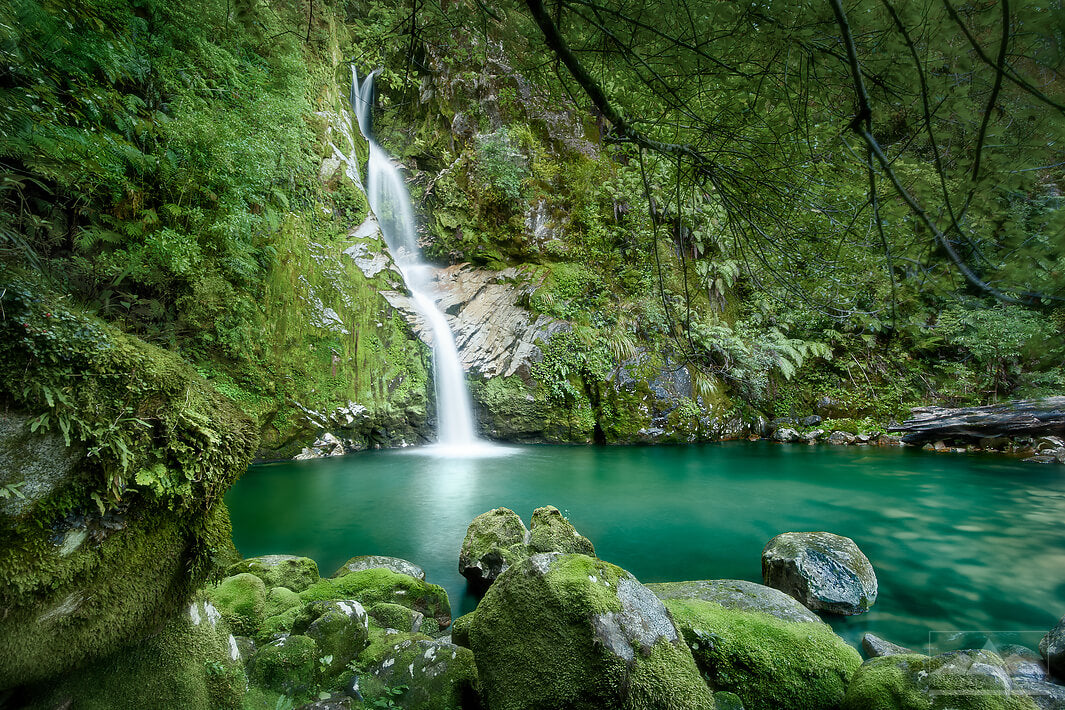 Dorothy Falls photo of waterfall in amongst green foliage and trees- Newzealandscapes photo canvas prints New Zealand