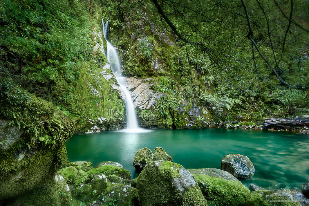 Lake Kaniere - Dorothy Falls | Ex-display Canvas Print