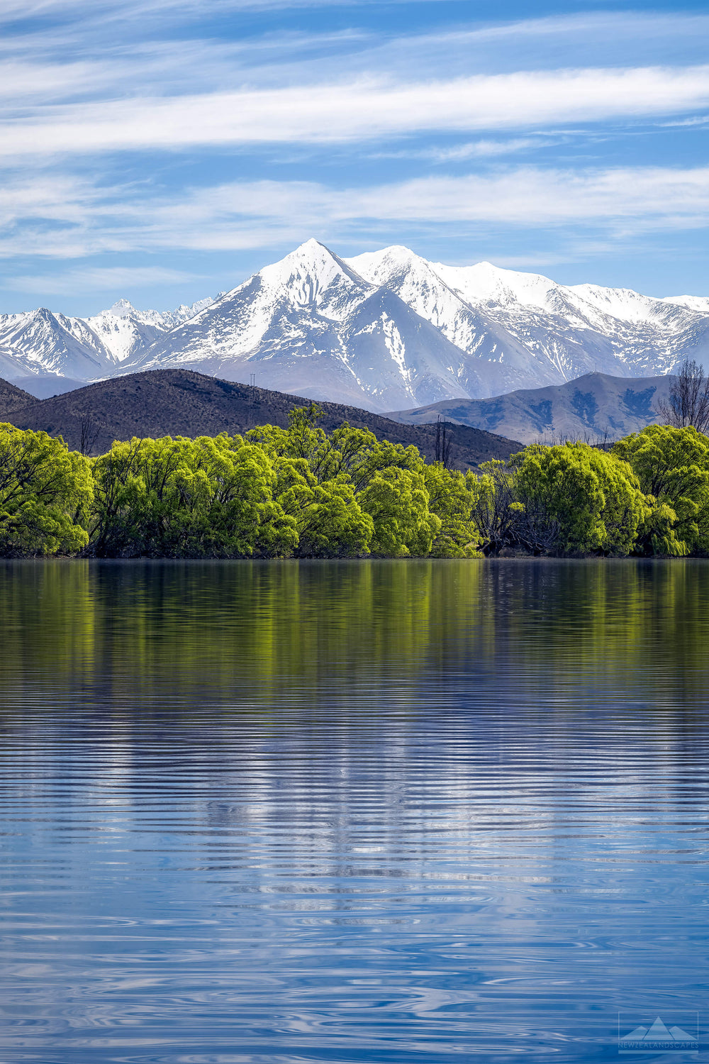trees reflected in the lake with snow capped mountains in the background.