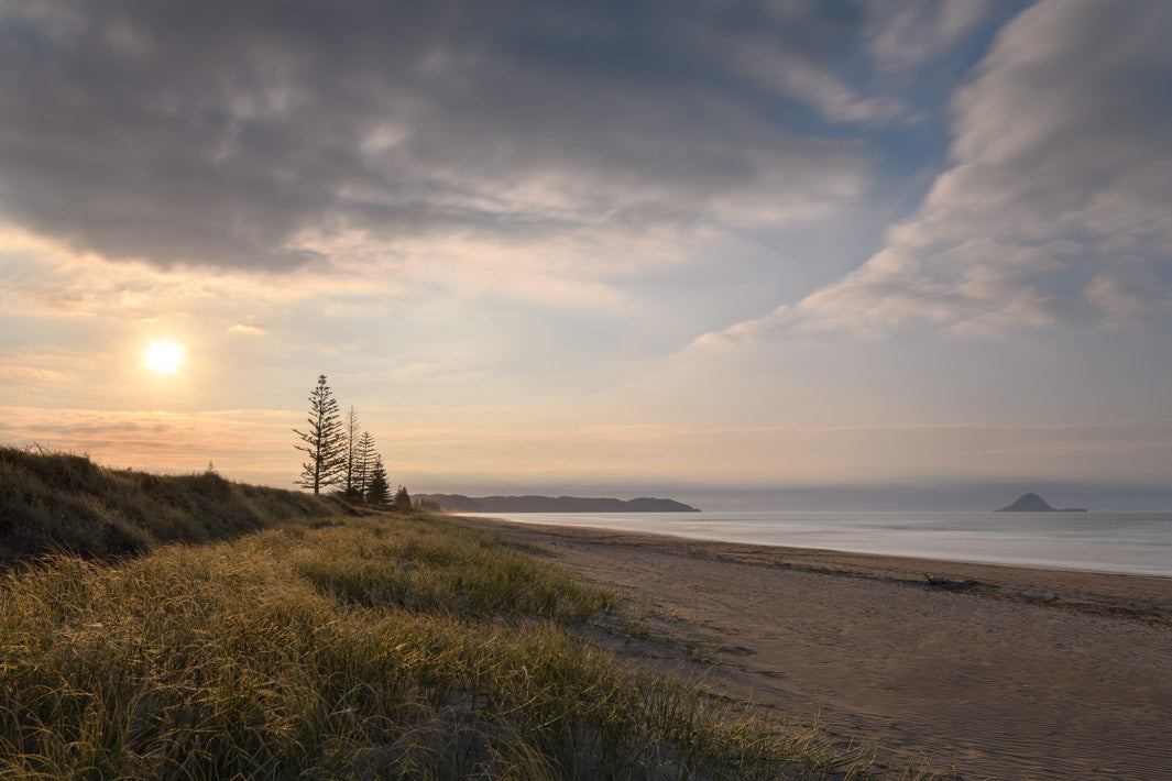 Landscape photo of Ohope Beach in New Zealand with sweeping clouds, sun, trees, sand dunes and beach