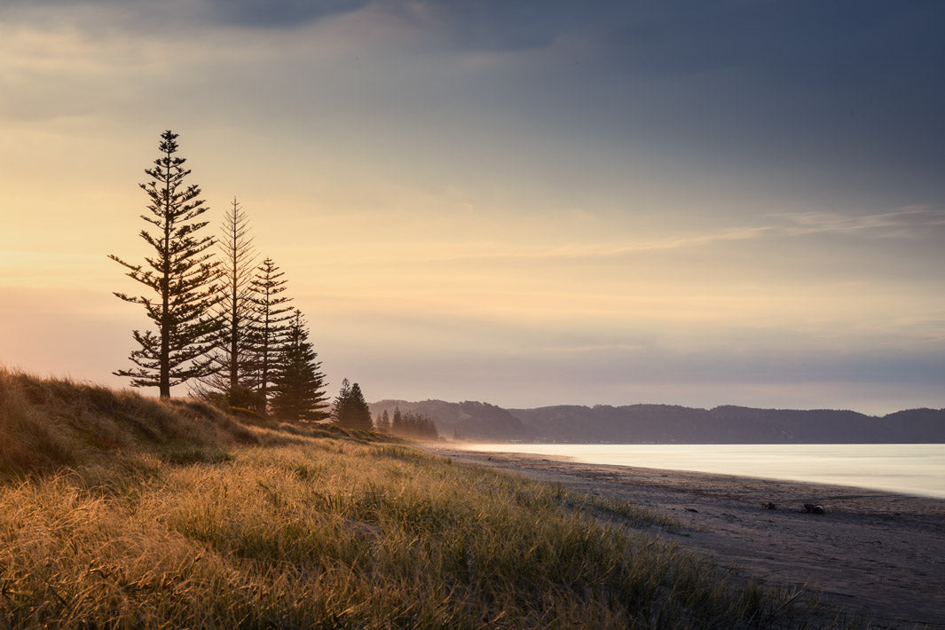 Sunset photo at Ohope Beach in the Bay of Plenty with trees and sand dunes and hills in the background