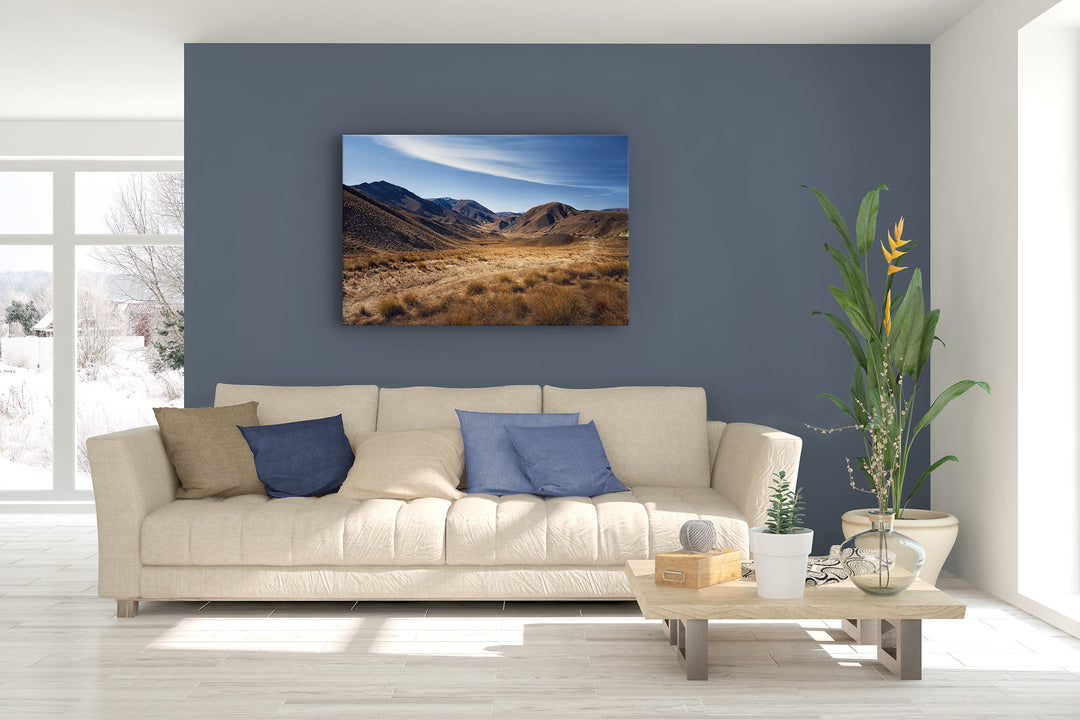 Image contains a photo print on a blue painted wall of a lounge with couch, cushions, plant and coffee table.