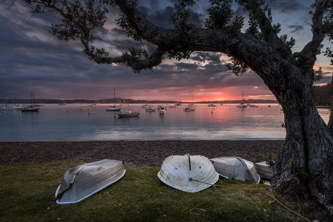 New Zealand landscape photo of moored boats and yachts in Russell, framed by a large tree and the sun setting behind distant hills in the background.