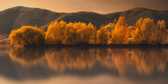 Landscape panoramic photo of a New Zealand lake in autumn, with yellow trees and mountains reflected in the lake below