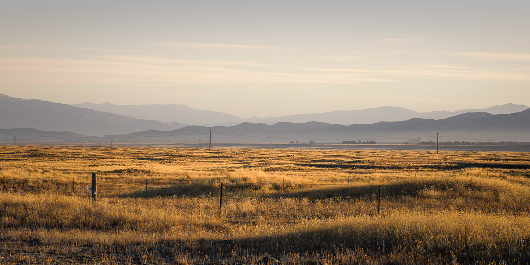 Panorama photo of yellow sun kissed New Zealand fields with silhouettes of mountains in the distant background