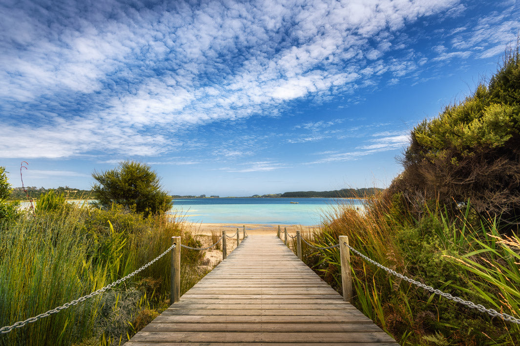 Boardwalk jetty leading to a blue lake with foliage and blue skies.