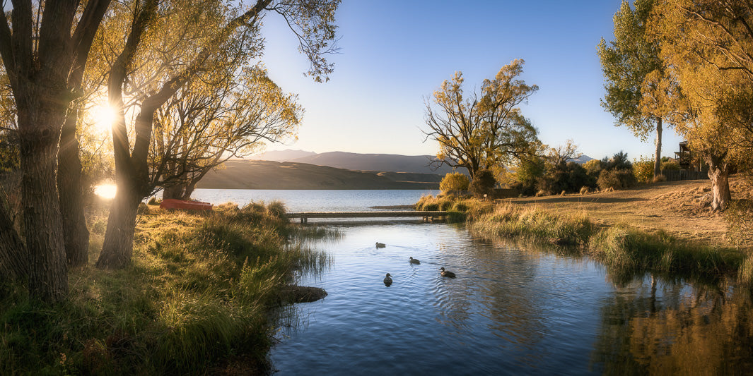 New Zealand landscape photo of trees framing Lake Alexandrina with ducks in a stream and sunbeams through one tree