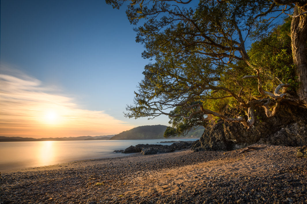 Landscape image of the morning sun in the blue sky and still sea to the left of the image, and trees and stony beach to the right.