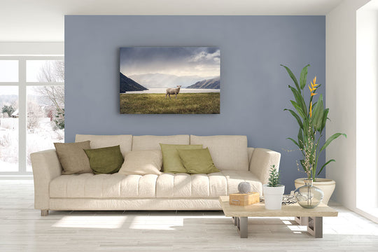 Photo canvas on living room wall of New Zealand landscape photo of a sheep by a lake