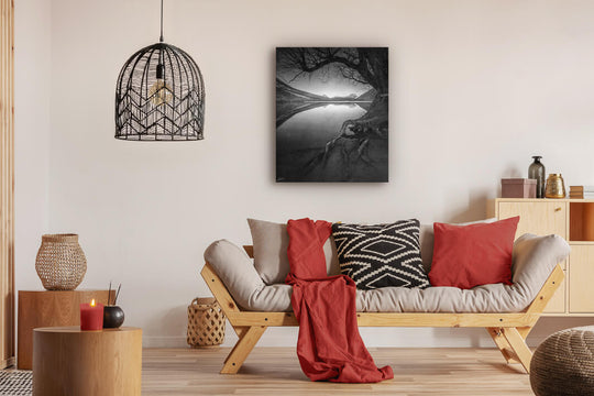 Artistic black and white photo of tree and lake in New Zealand on lounge wall