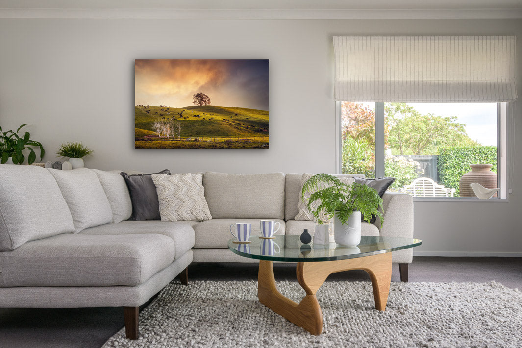 Modern lounge with suite, coffee table, plants and feature canvas photo wall art.