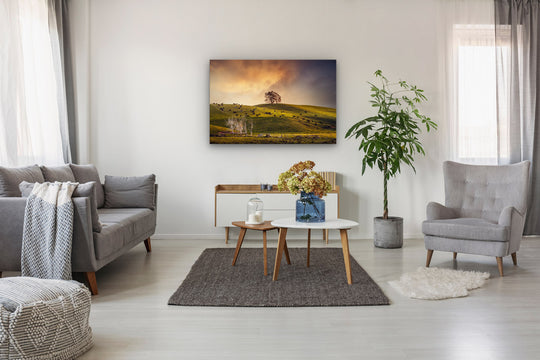 Modern lounge with suite, coffee table, plants and feature canvas photo wall art.