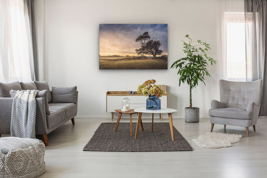 Cust - Kiwi Field At Dusk