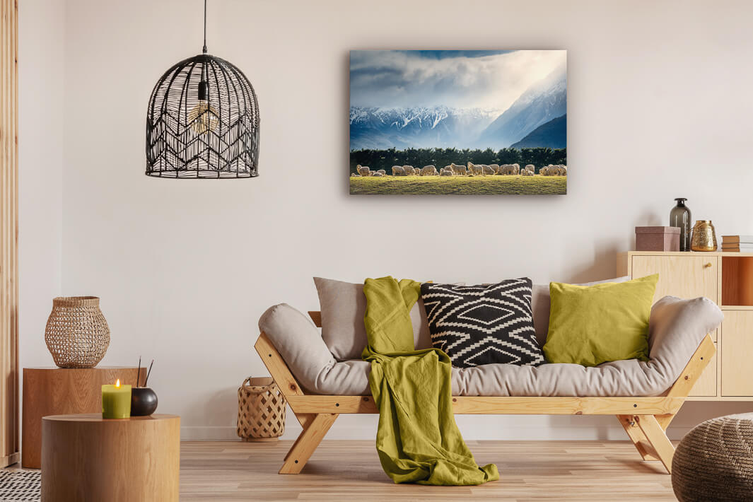 Sheep in a field wall art on lounge wall on canvas or photo print