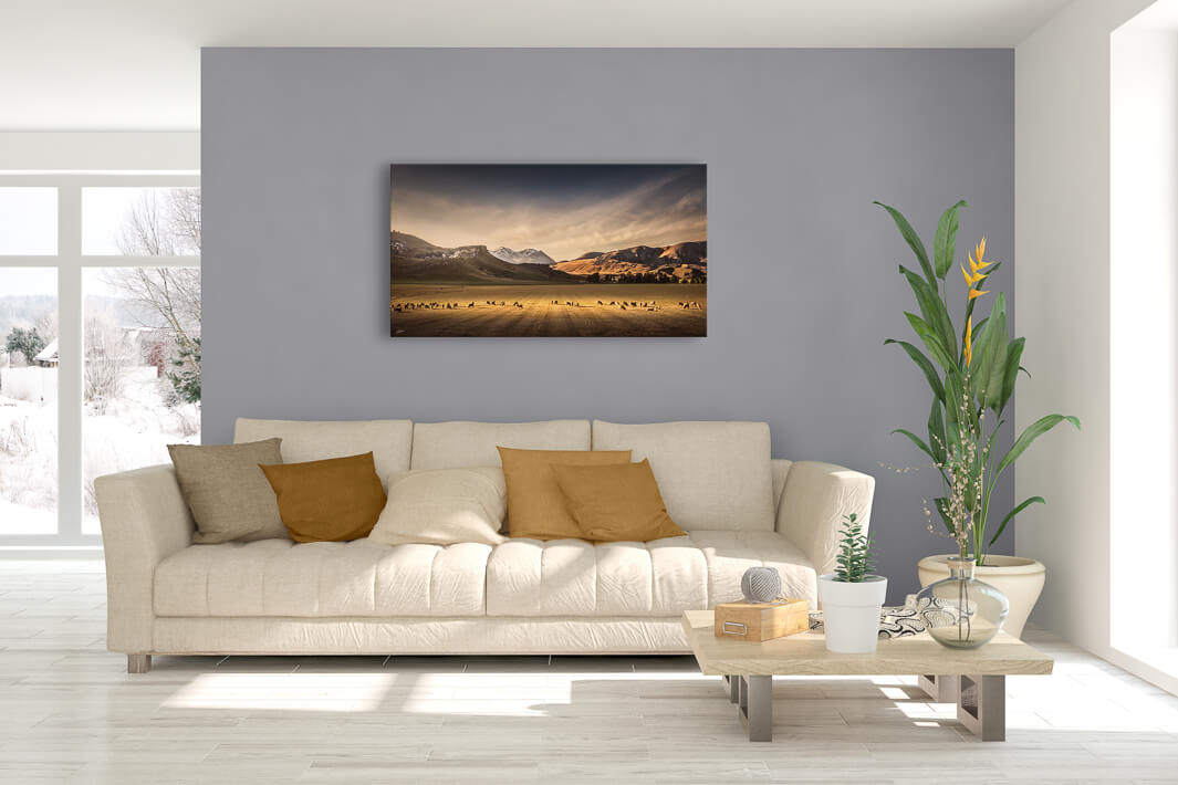New Zealand landscape canvas photo wall art in lounge setting with a light blue wall, white couch, coffee table, plant, cushions