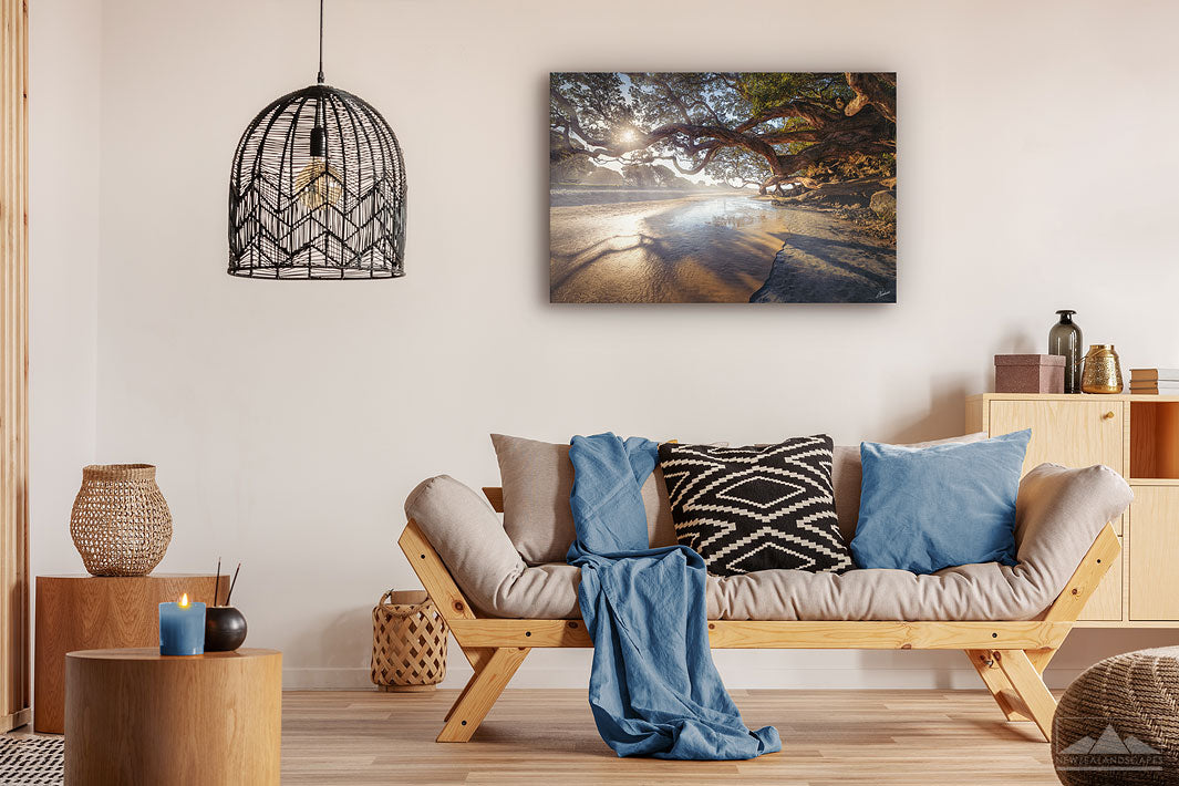 New Zealand landscape wall art canvas print of Waipu Cove beach displayed on a living room wall