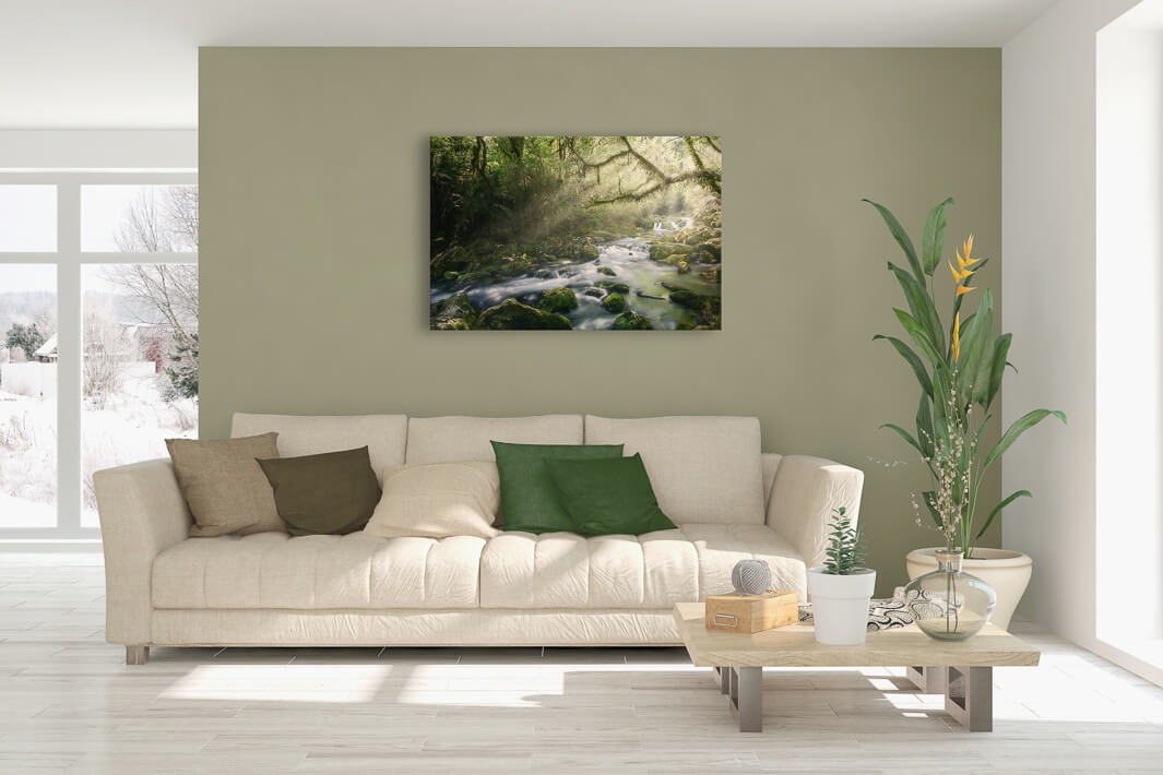 New Zealand landscape canvas photo wall art in lounge setting with a green wall, white couch, coffee table, plant, cushions