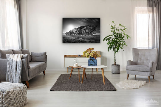 Photo print wall art of black and white windswept trees of Slope Point, New Zealand, on modern living room wall