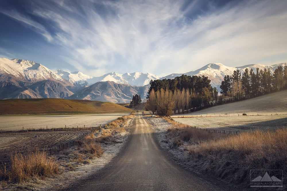 Central road leading to snowy mountains in the distance, lined with trees and grasses in the foreground.