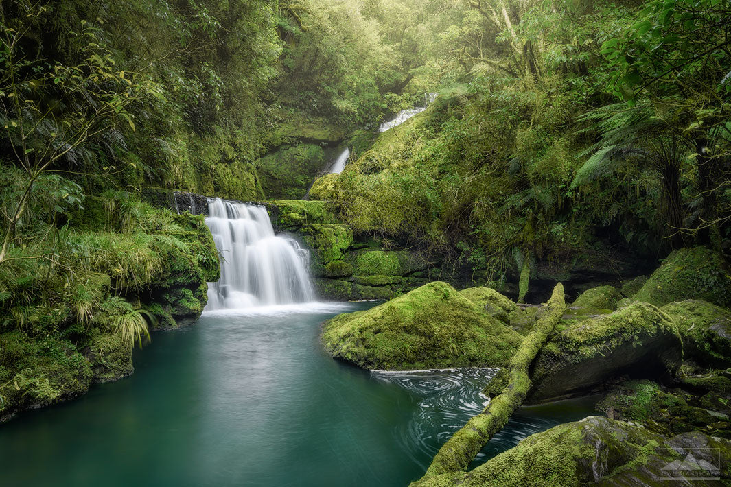 Beautiful waterfall set amongst trees, ferns and foliage