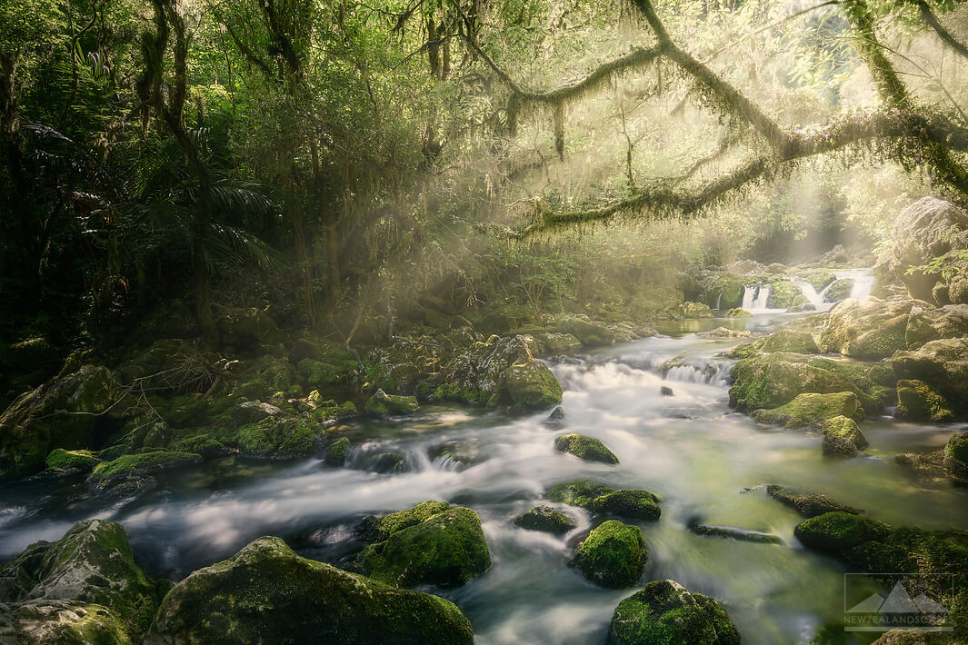 flowing river cascading down rocks amongst green foliage and sunrays