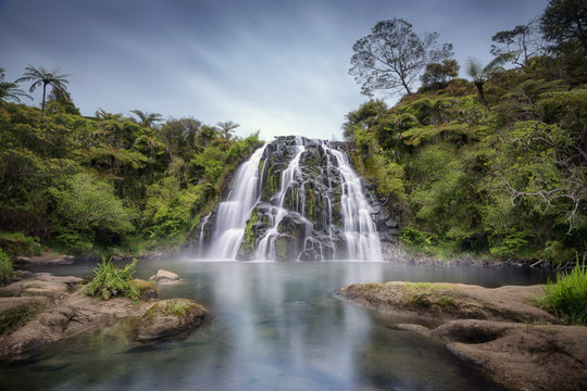 Owharoa Falls with pool below, surrounded by trees and ferns with rocks in the foreground.