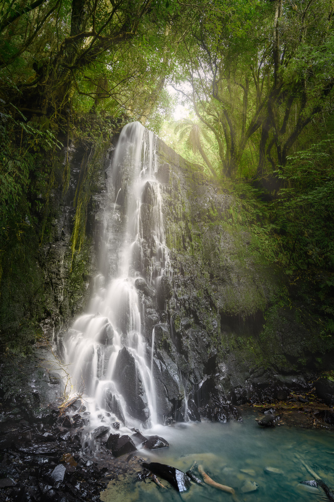 Long exposure photo of Horseshoe Falls waterfall and surrounding trees in Catlins Forest Park