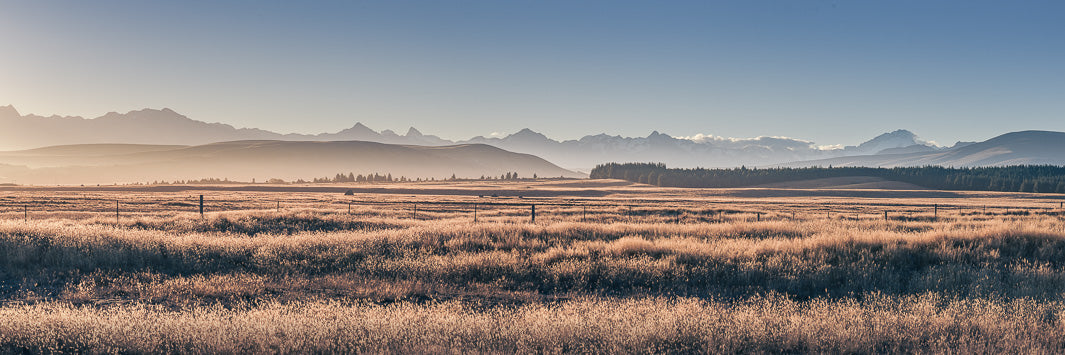 Wide panorama of golden fields lit by afternoon sun with mountains, hills and trees in the background.