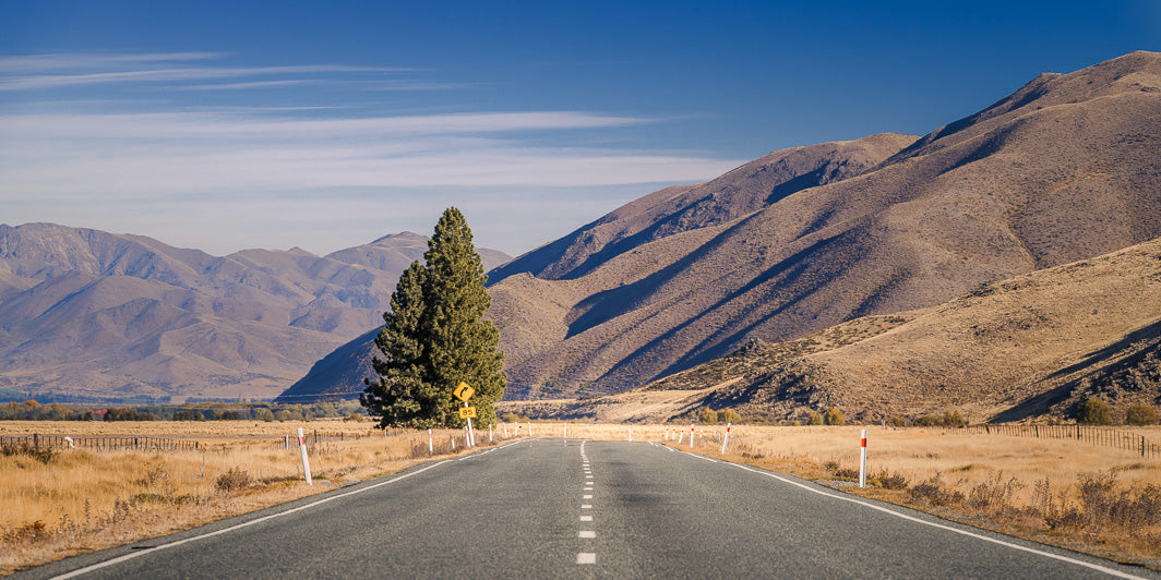 New Zealand landscape scene of a road in the middle of the photo leading towards mountains and trees, against a blue sky