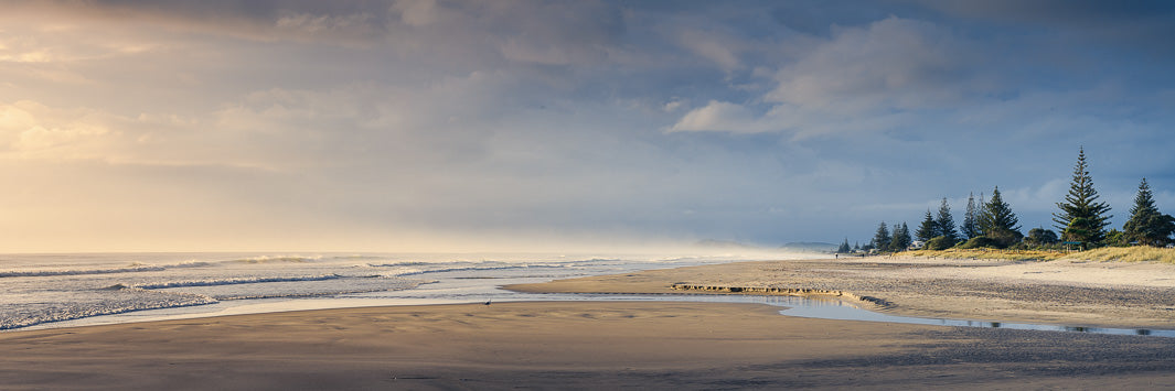 Wide panoramic view of Waihi beach at sunrise, with trees framing the right of the image.