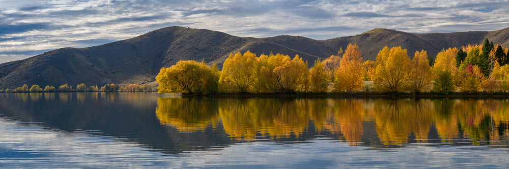 Landscape photo wall print of Wairepo Arm on the South Island, yellow golden trees reflected in the lake with a mountain range in the background
