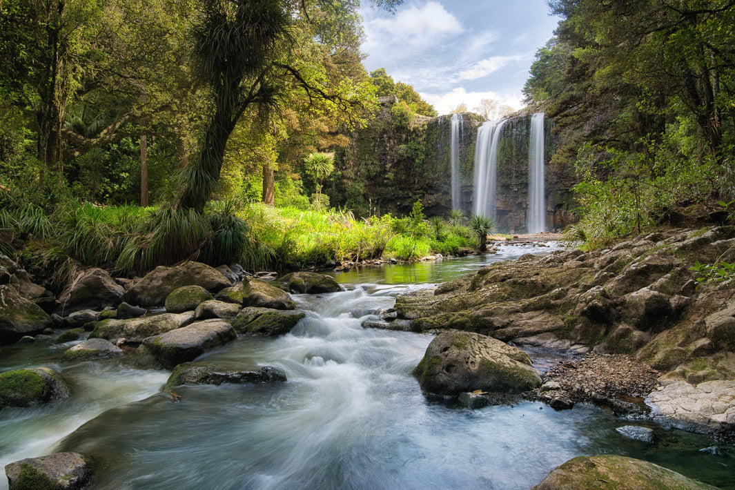 Long exposure landscape photo of Whangarei Falls waterfall, stream and trees in the North Island of New Zealand